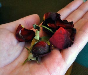 Dead rose